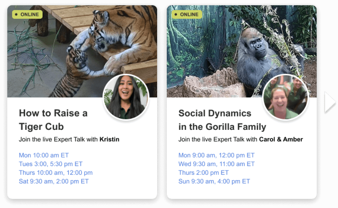 live talks